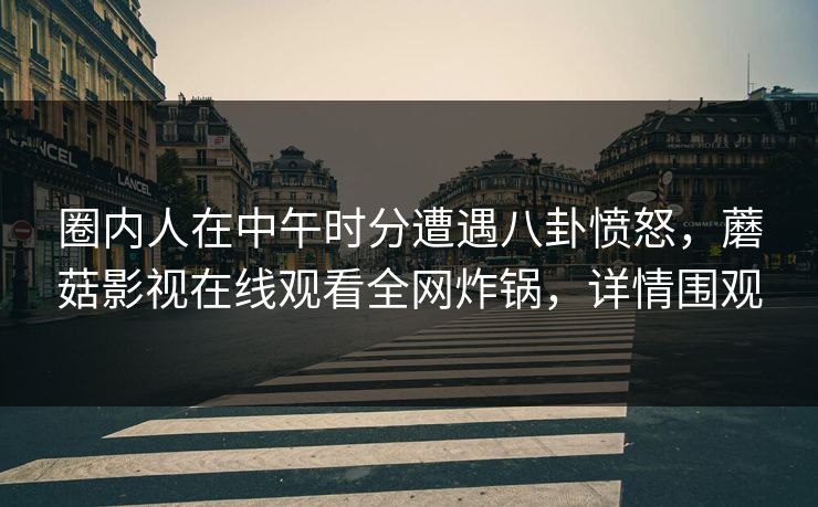 圈内人在中午时分遭遇八卦愤怒,蘑菇影视在线观看全网炸锅,详情围观