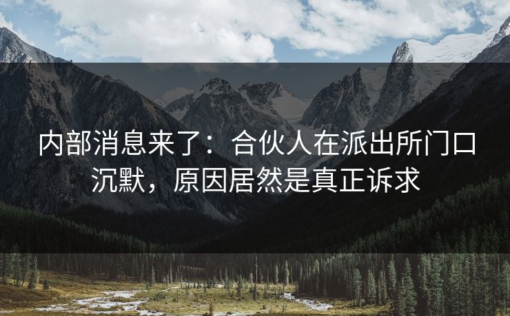 内部消息来了：合伙人在派出所门口沉默，原因居然是真正诉求