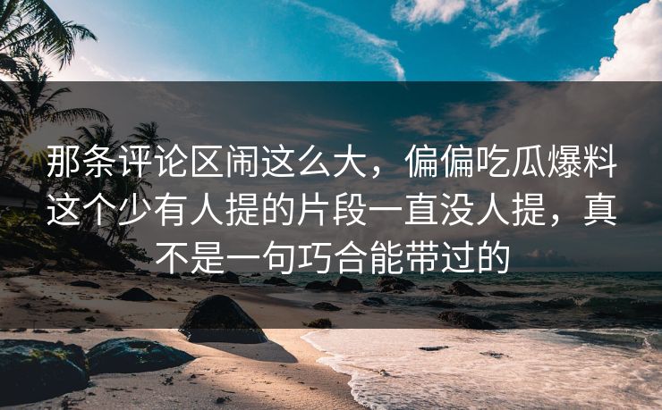 那条评论区闹这么大，偏偏吃瓜爆料这个少有人提的片段一直没人提，真不是一句巧合能带过的